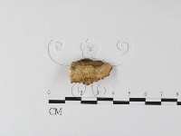 登錄號:F0017583藏品圖，第5張