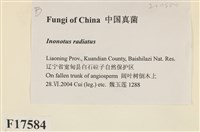 登錄號:F0017584藏品圖，第2張