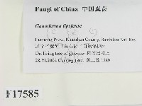 登錄號:F0017585藏品圖，第2張
