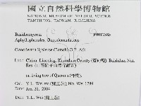 登錄號:F0017585藏品圖，第3張