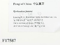 登錄號:F0017587藏品圖，第2張