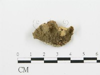 登錄號:F0017587藏品圖，第1張