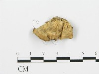 登錄號:F0017587藏品圖，第4張