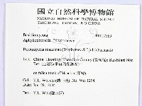 登錄號:F0017589藏品圖，第2張