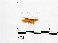 登錄號:F0017589藏品圖，第1張