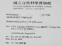 登錄號:F0017590藏品圖，第2張