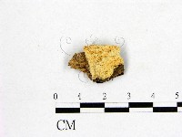 登錄號:F0017591藏品圖，第1張
