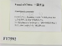 登錄號:F0017592藏品圖，第2張