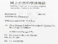 煙管菌藏品圖，第3張