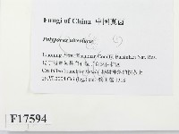 登錄號:F0017594藏品圖，第2張
