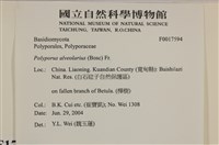 登錄號:F0017594藏品圖，第5張