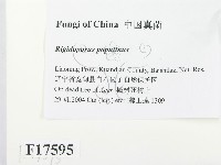 登錄號:F0017595藏品圖，第2張