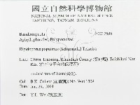 登錄號:F0017595藏品圖，第3張