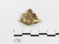 登錄號:F0017595藏品圖，第4張