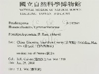 登錄號:F0017596藏品圖，第3張