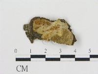 登錄號:F0017596藏品圖，第1張