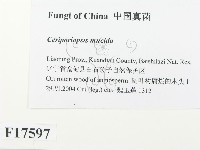 登錄號:F0017597藏品圖，第2張