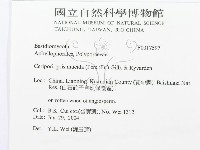 登錄號:F0017597藏品圖，第3張