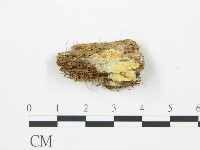 登錄號:F0017597藏品圖，第1張