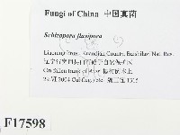 登錄號:F0017598藏品圖，第2張