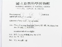 登錄號:F0017598藏品圖，第3張