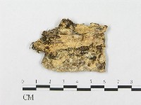登錄號:F0017598藏品圖，第4張