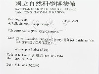 登錄號:F0017599藏品圖，第3張