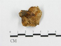 登錄號:F0017599藏品圖，第1張