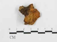 登錄號:F0017599藏品圖，第4張
