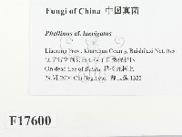 登錄號:F0017600藏品圖，第3張