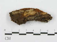 登錄號:F0017600藏品圖，第1張