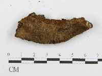 登錄號:F0017600藏品圖，第4張