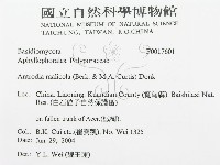 登錄號:F0017601藏品圖，第3張