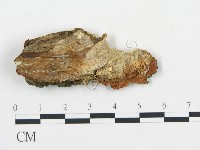 登錄號:F0017601藏品圖，第4張