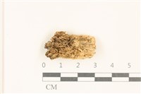 登錄號:F0017602藏品圖，第1張