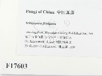 登錄號:F0017603藏品圖，第2張