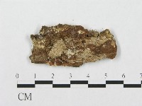 登錄號:F0017603藏品圖，第1張