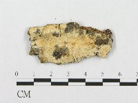 登錄號:F0017603藏品圖，第4張