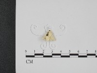 登錄號:F0017604藏品圖，第3張