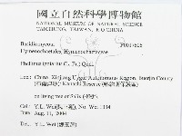 登錄號:F0017606藏品圖，第3張