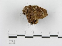 登錄號:F0017606藏品圖，第6張