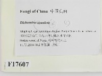 登錄號:F0017607藏品圖，第2張