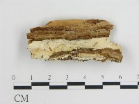 登錄號:F0017607藏品圖，第1張