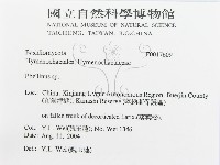 木層孔菌屬藏品圖，第3張