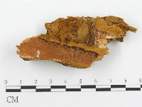 登錄號:F0017610藏品圖，第4張