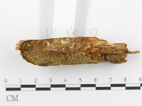 登錄號:F0017610藏品圖，第6張