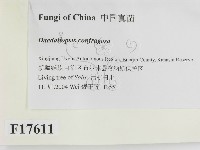 登錄號:F0017611藏品圖，第2張