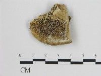 登錄號:F0017611藏品圖，第1張