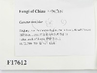 登錄號:F0017612藏品圖，第2張