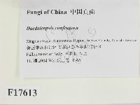 登錄號:F0017613藏品圖，第2張